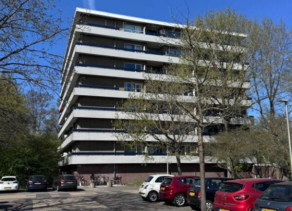 Marne